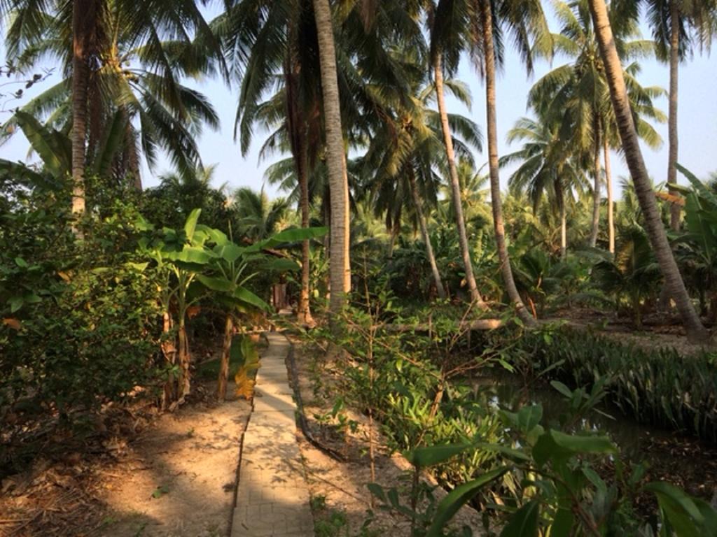 Charming Countryside Homestay Ben Tre Kültér fotó